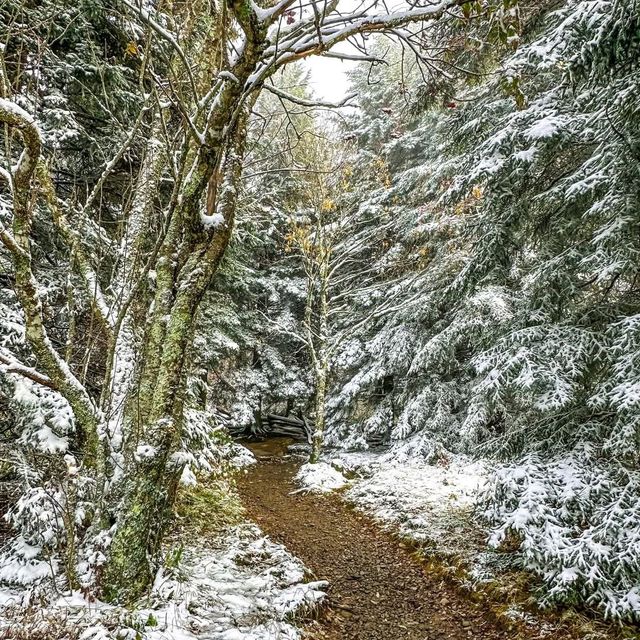 Asheville, North Carolina