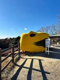 【福島　いわき：三崎公園】