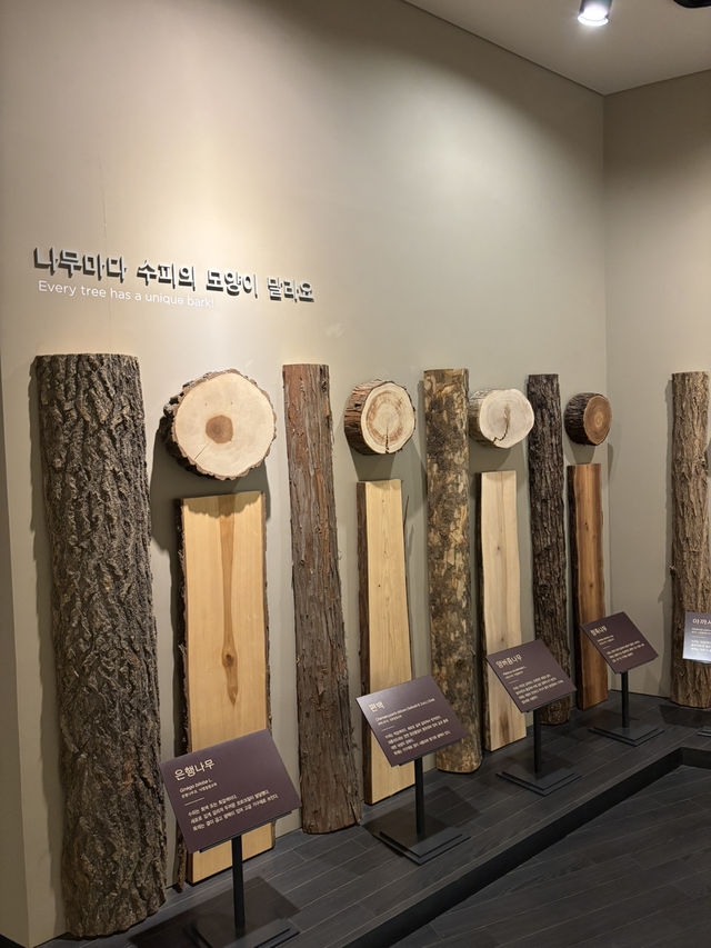 다양한 식물 표본을 구경할 수 있는 전북대 자연사박물관😀