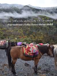 Changpinggou เส้นทางเดินป่าที่ไม่อยากให้พลาด