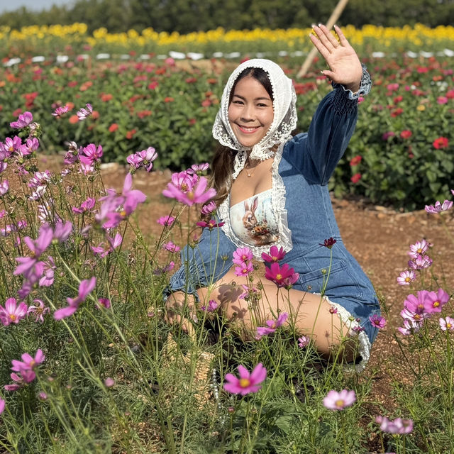บ้านสวนอนุสรณ์ทุ่งดอกไม้น่าเที่ยวถูกใจสายคอนเทนต์