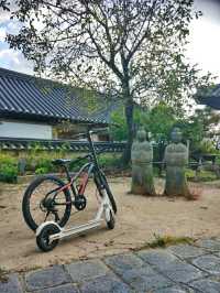A Timeless Stroll Through Gyeongju Gyochon Traditional Village