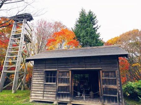 北海道🇯🇵開拓村