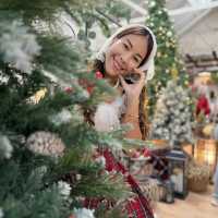 The Creeper House คาเฟ่น่ารักกับChristmas cottage