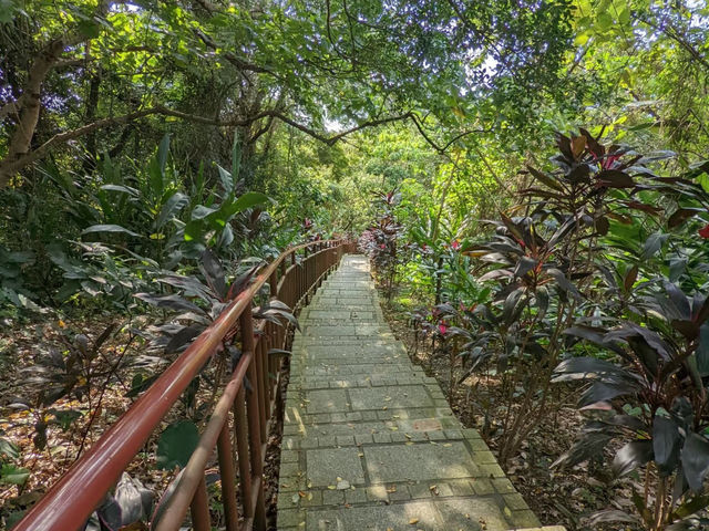 觀音山蓄水池——台北郊外的自然秘境