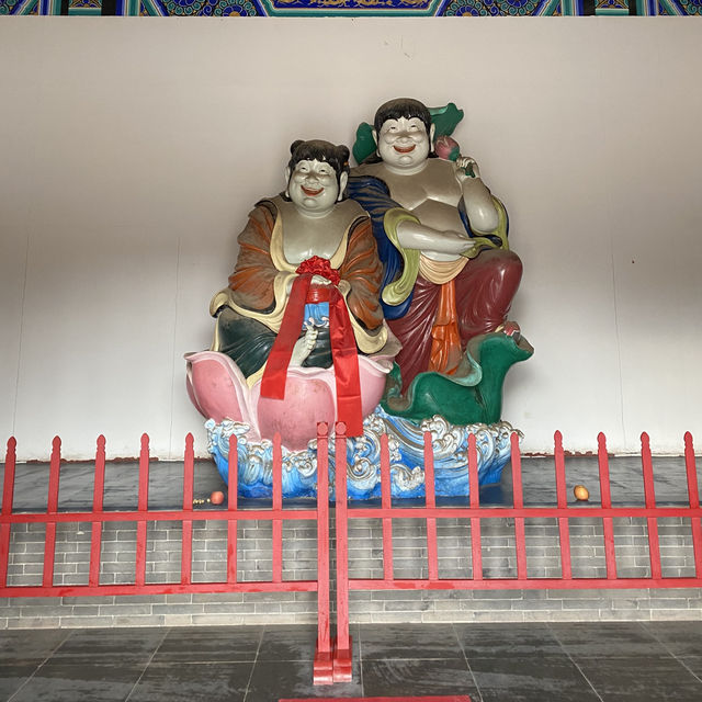 🇨🇳봉래 신비로운 삼선산풍경구의 내부와 귀여운 동물들🦢🐈‍⬛