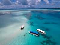 Diving in Palau 