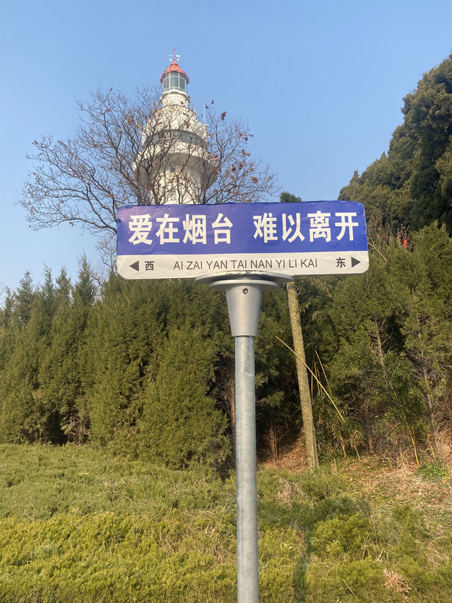 🇨🇳연태_풍경이 정말 좋은 연태산 추천해요🌳 🇨🇳연태_풍경이 정말 좋은 연태산 추천해요🌳