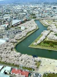 Goryokaku Park: A Star-Shaped Haven