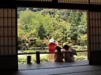 A Zen Escape: Discovering the Timeless Beauty of Tenryu-ji Temple