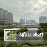 龍環葡韻博物館住宅迎聖誕