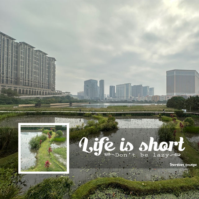 龍環葡韻博物館住宅迎聖誕