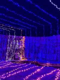 國營讚岐滿濃公園🥰冬季限定燈飾😍四國必去😝