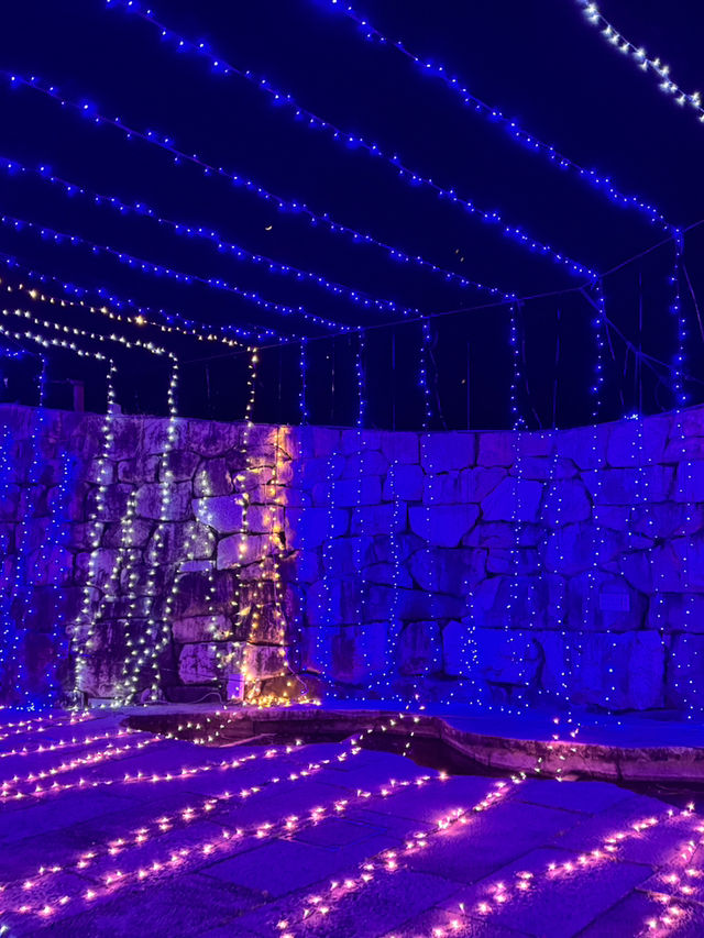國營讚岐滿濃公園🥰冬季限定燈飾😍四國必去😝