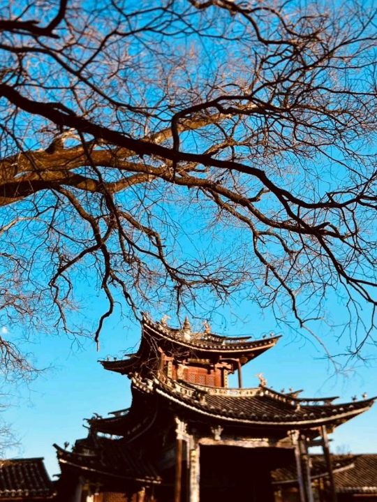 Beautiful view of Shaxi Ancient Town 💜