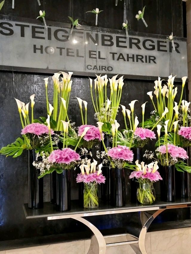 STEIGENBERGER CAIRO : CENTRAL BUT NOT QUITE WHAT WE EXPECTED  