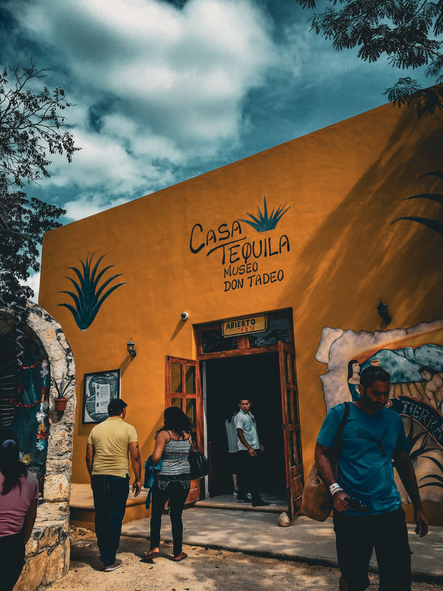 【メキシコ】お酒好きには堪らない！本場のテキーラを🍸