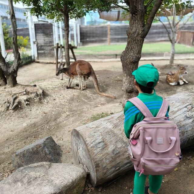 kobe animal kingdom สวนสัตว์ในร่ม แต่สัตว์เยอะมาก