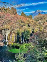 【静岡県】大迫力‼️数百の絹糸のような滝✨