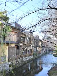 【京都｜祇園】京都らしい町並みを歩きたいなら花見小路通や祇園白川へいってみよう