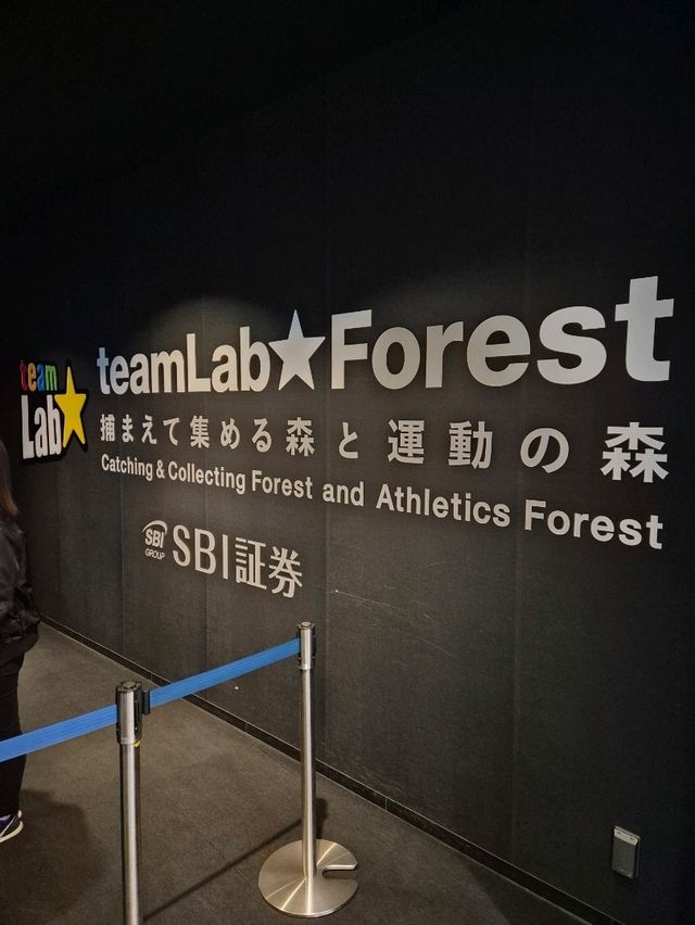 Teamlab Forest Fukuoka 🌳