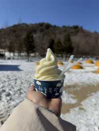 대관령 하늘 목장: 겨울의 낭만을 만끽하다 ❄️