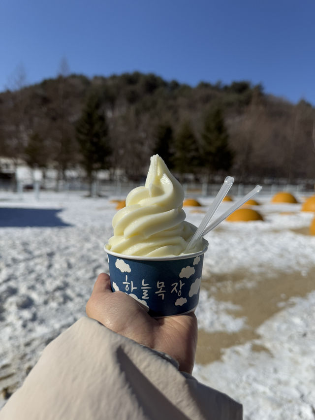 대관령 하늘 목장: 겨울의 낭만을 만끽하다 ❄️