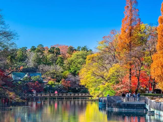 吉祥寺「井之頭恩賜公園」