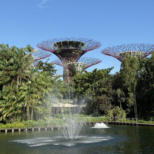 「新加坡」濱海灣花園，綠色休閒好去處