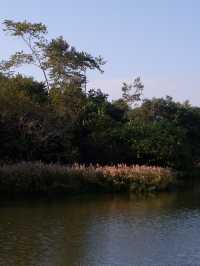 香港秋冬景點：本地人才會去小眾公園 