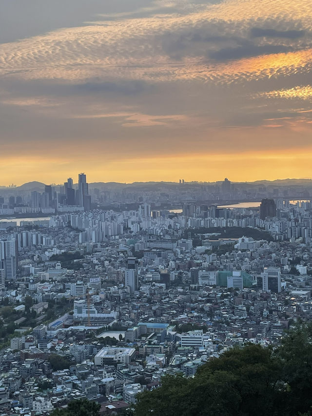 🇰🇷 The Soul of Seoul: My Favourite Experiences