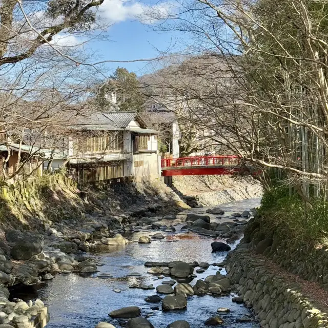 🇯🇵시즈오카 일본 소도시 힐링 마을 추천 “슈젠지”