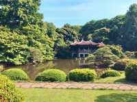 Summer Vibes at Kenrokuen