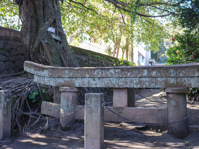 【鹿児島県】 大正噴火の名残りを伝える桜島の噴火遺産『黒神埋没鳥居』