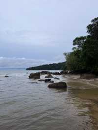 Rainforest Retreat like no other 