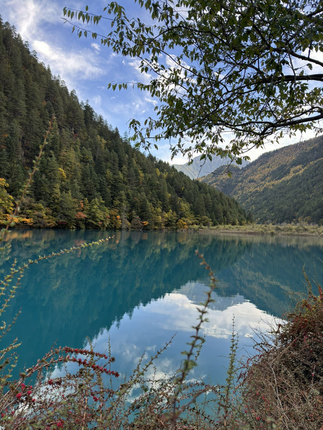 Lose yourself in the beauty of nature’s