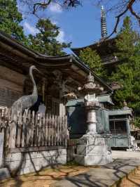【徳島県/勝浦町】お遍路のお寺で出会った特別な体験