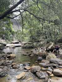 Hidden waterfalls of blue mountains