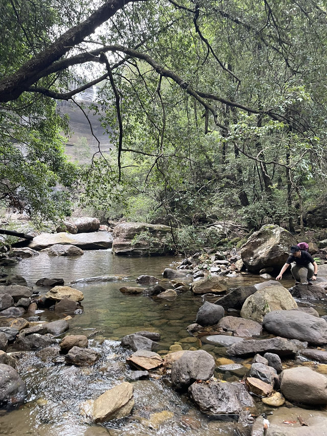 Hidden waterfalls of blue mountains