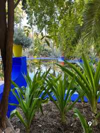 🇲🇦マラケシュ　マジョレル庭園
