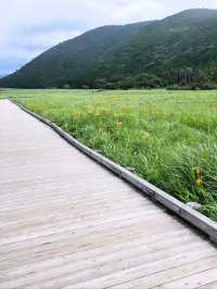 ■タデ原湿原