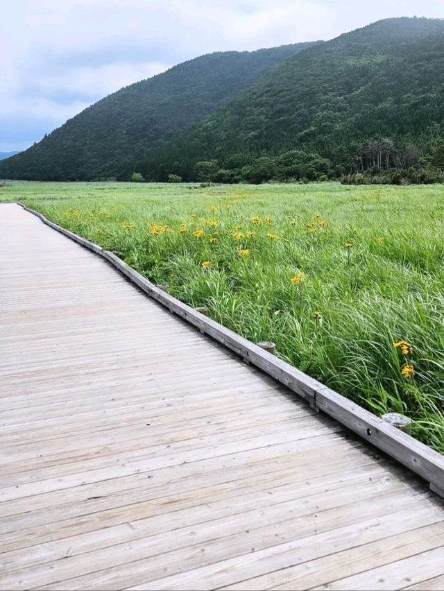 ■タデ原湿原