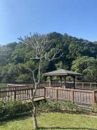 桃園 三坑自然生態公園 🏞️ 自然之景 山明水秀