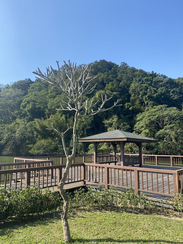 桃園 三坑自然生態公園 🏞️ 自然之景 山明水秀