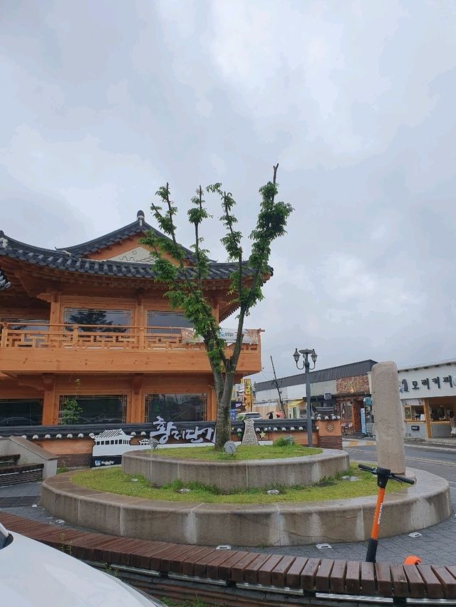 🌺 경주 황리단길, 꽃 가득한 감성거리에서 인생샷 찍기! 📸