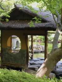 「八芳園」是一個很棒的賞楓景點