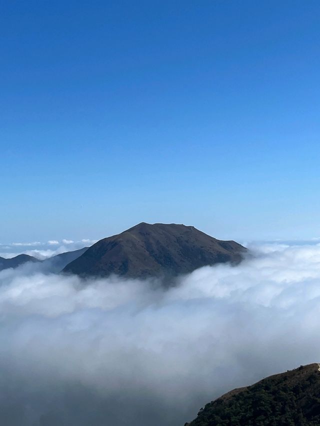 香港大嶼山‐探索自然的壯麗與浪漫✨🏞️，情人節的完美約會地點💖
