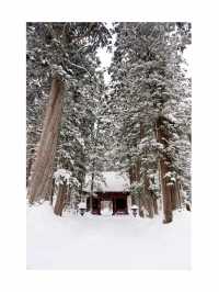 [長野]冬の戸隠神社に行ったらやるべき3つのこと❄️
