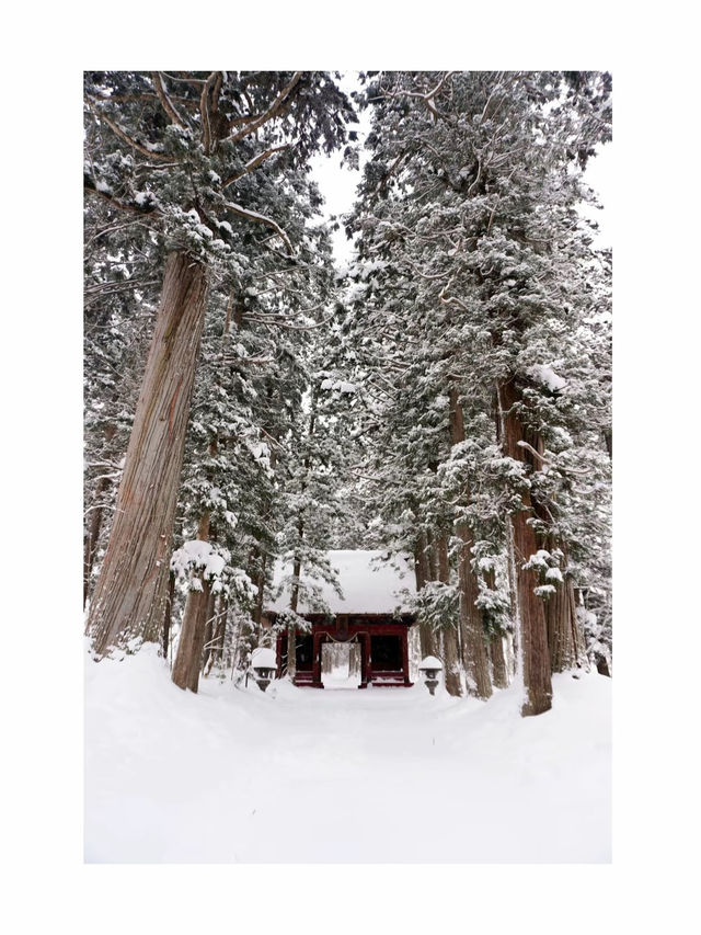 [長野]冬の戸隠神社に行ったらやるべき3つのこと❄️