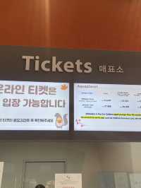 벨루가를 만날 수 있는 여수여행 어때요?